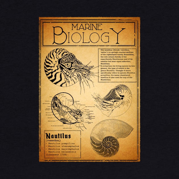 Marine Biology - Nautilus by Birding_by_Design